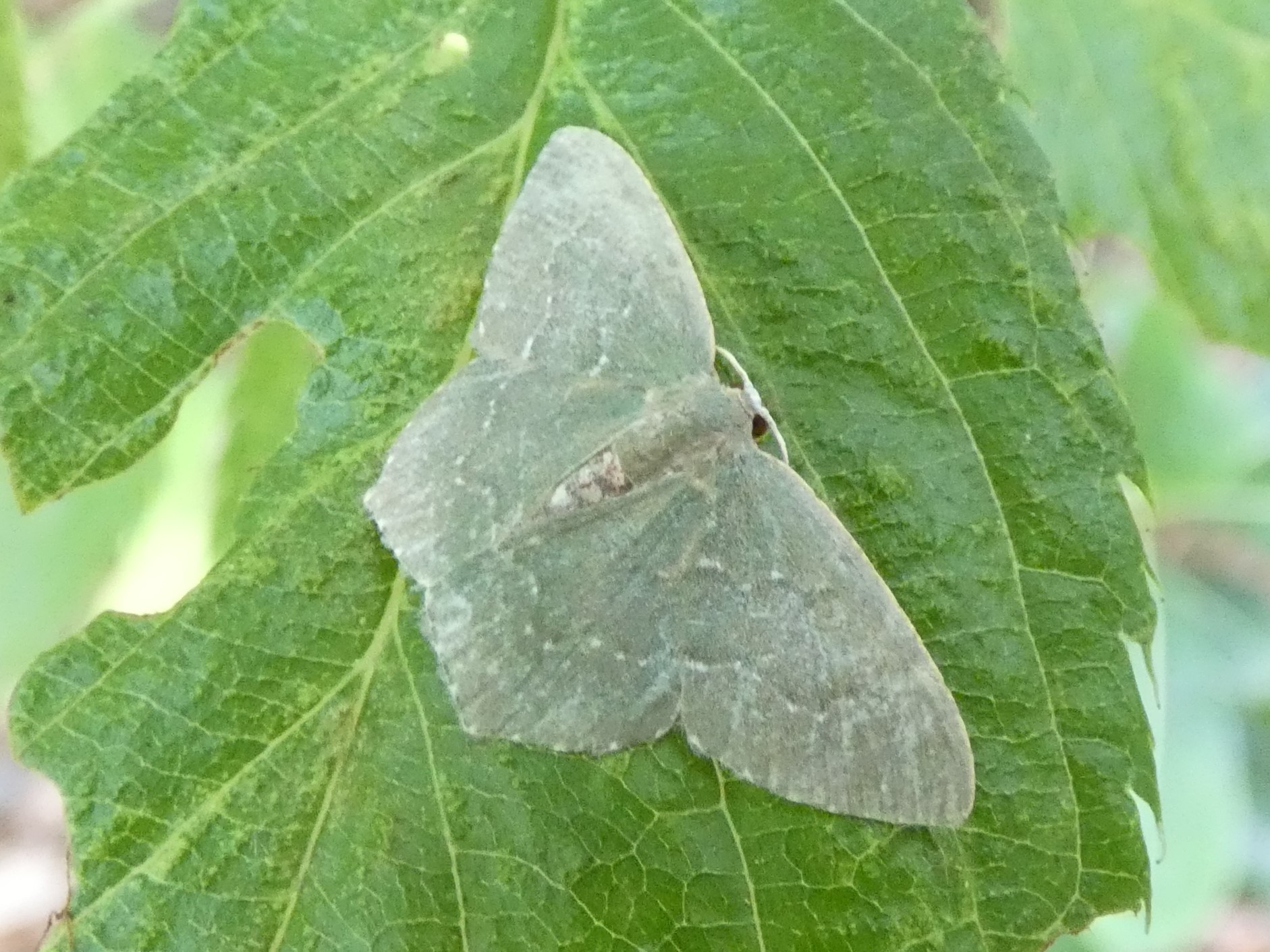 photo_4